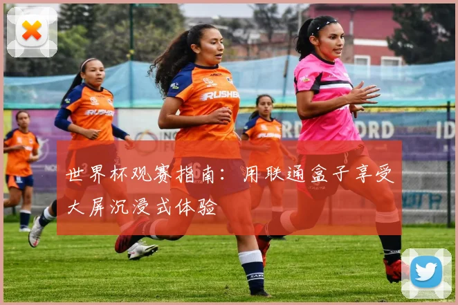 世界杯观赛指南：用联通盒子享受大屏沉浸式体验